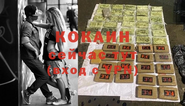 ГАЛЛЮЦИНОГЕННЫЕ ГРИБЫ Снежногорск