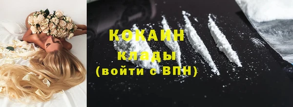стаф Снежинск