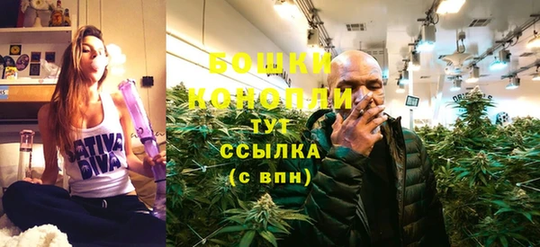 стаф Снежинск
