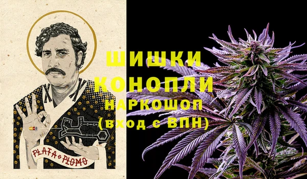 дмт Верея