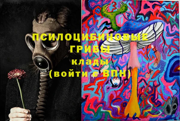 мдма Дубна