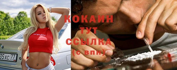 стаф Снежинск
