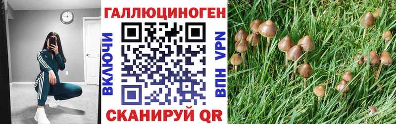 Галлюциногенные грибы прущие грибы  Великий Устюг 