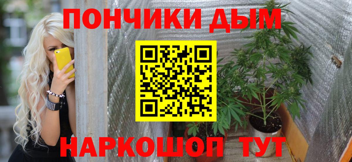 Псилоцибиновые грибы Великий Устюг